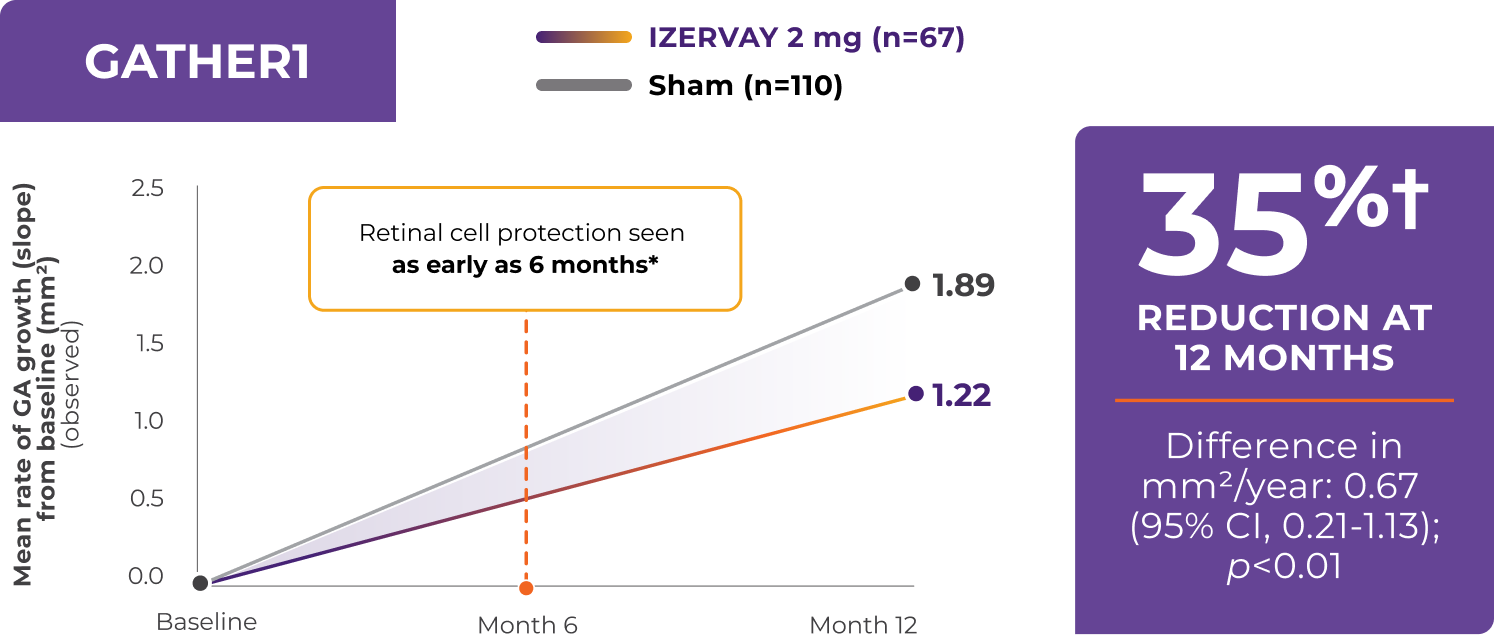 Graph of efficacy data from GATHER1 Study: 35% reduction in mean rate of GA growth at 12 months