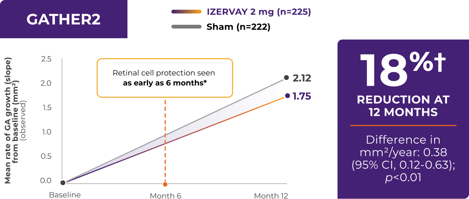 Graph of efficacy data from GATHER2 Study: 18% reduction in mean rate of GA growth at 12 months